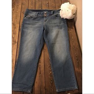 YMI Jeans